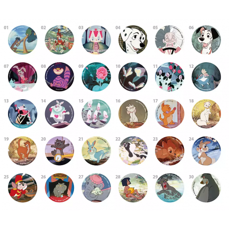 COMMANDE - BADGES DISNEY STORE JAPON