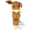 COMMANDE - ICHIBAN KUJI POKEMON - EIEVUI＆Colorful Art - B PRIZE / PELUCHE EVOLI