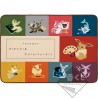 COMMANDE - ICHIBAN KUJI POKEMON - EIEVUI＆Colorful Art - D PRIZE / PLAID