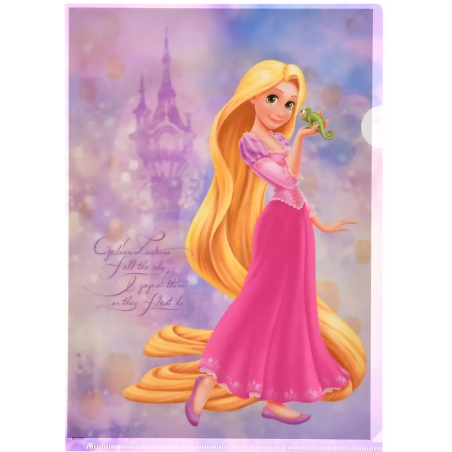 COMMANDE - DISNEY STORE JAPON - CLEARFILE RAIPONCE 1