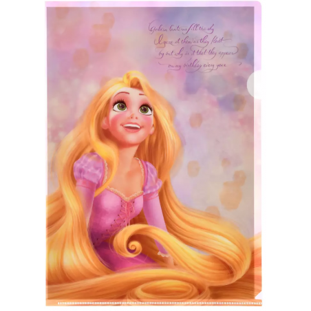 COMMANDE - DISNEY STORE JAPON - CLEARFILE RAIPONCE 3