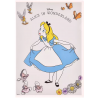 COMMANDE - DISNEY STORE JAPON - CLEARFILE ALICE 1