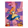 COMMANDE - DISNEY STORE JAPON - CLEARFILE 3