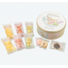 COMMANDE - TOKYO DISNEYLAND - DUFFY & FRIENDS - BOITE A COOKIE