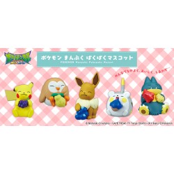 COMMANDE - GASHAPON POKEMON BAIES