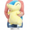COMMANDE - POKEMON CENTER JAPON - BIG PELUCHE HERICENDRE