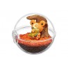 STOCK - RE-MENT POKEMON - TERRARIUM COLLECTION 11 TEDDIURSA
