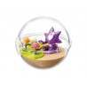 STOCK - RE-MENT POKEMON - POKEMON TERRARIUM COLLECTION EX-GALAR - TOXICROAK