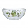 COMMANDE - POKEMON CENTER JAPON - Bol en verre Poussacha