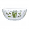 COMMANDE - POKEMON CENTER JAPON - Bol en verre Poussacha