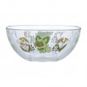 COMMANDE - POKEMON CENTER JAPON - Bol en verre Poussacha