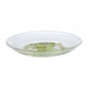 COMMANDE - POKEMON CENTER JAPON - Assiette en verre Poussacha