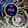 STOCK - SERPENT AND FLAME - BOUGIE " LORD & LADY OF THE NIGHT "