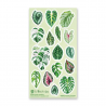 STOCK - STICKII - FEUILLE DE STICKERS " GORGEOUS GREEN "