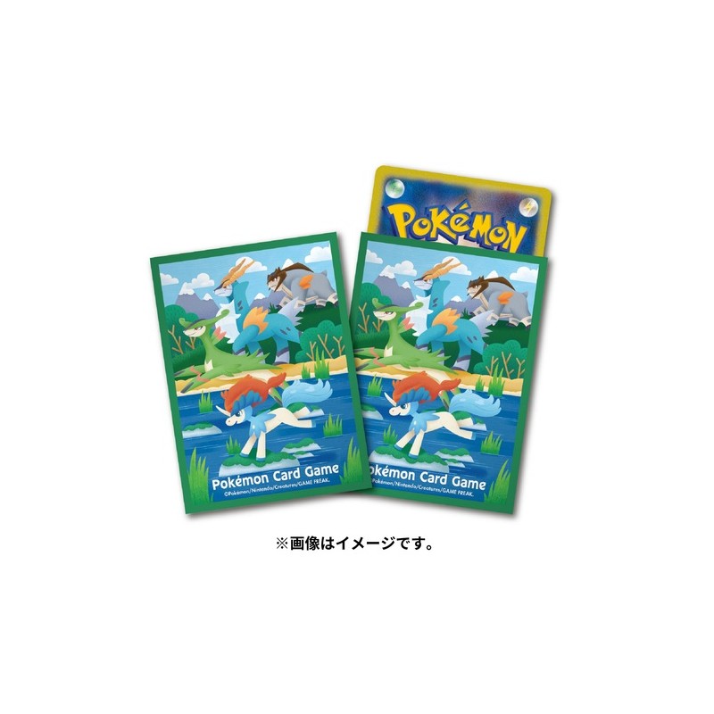 STOCK - SLEEVE A L'UNITE N°433