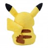 COMMANDE - POKEMON CENTER JAPON - PELUCHE FLUFFY PIKACHU