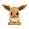 COMMANDE - POKEMON CENTER JAPON - POKEMON FIT EVOLI