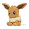 COMMANDE - POKEMON CENTER JAPON - POKEMON FIT EVOLI