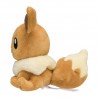 COMMANDE - POKEMON CENTER JAPON - POKEMON FIT EVOLI
