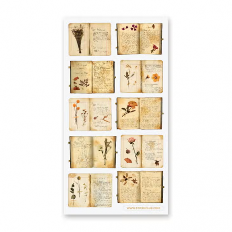 STOCK - STICKII - FEUILLE DE STICKERS " BOTANICAL STUDY"