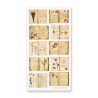 STOCK - STICKII - FEUILLE DE STICKERS " BOTANICAL STUDY"