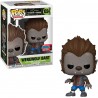 STOCK - FUNKO POP 1034 - WEREWOLF BART