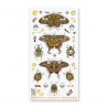 STOCK - STICKII - FEUILLE DE STICKERS