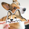 STOCK - RISKIT DESIGN - Vinyl Stickers CORGI PEEKER