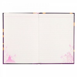 STOCK - DISNEY STORE JAPON - CAHIER B6 RAIPONCE