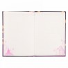 STOCK - DISNEY STORE JAPON - CAHIER B6 RAIPONCE