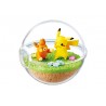 COMMANDE - RE-MENT - POKEMON - TERRARIUM COLLECTION EX - Kakemeguru Paldea no Sekai e