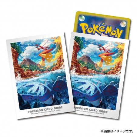 STOCK - SLEEVE A L'UNITE N°454
