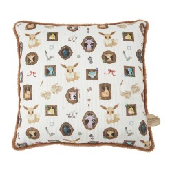 COMMANDE - POKEMON CENTER JAPON - Eevee collection 2025 - Coussin