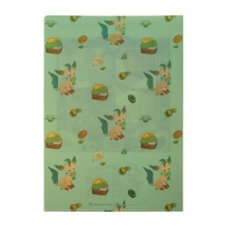 COMMANDE - POKEMON CENTER JAPON - Eevee collection 2025 - Clearfile Phylalli