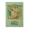 COMMANDE - POKEMON CENTER JAPON - Eevee collection 2025 - Clearfile Phylalli