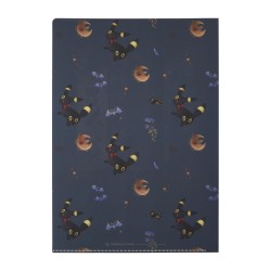 COMMANDE - POKEMON CENTER JAPON - Eevee collection 2025 -Clearfile Noctali