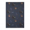 COMMANDE - POKEMON CENTER JAPON - Eevee collection 2025 -Clearfile Noctali