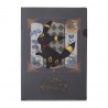 COMMANDE - POKEMON CENTER JAPON - Eevee collection 2025 -Clearfile Noctali