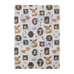 COMMANDE - POKEMON CENTER JAPON - Eevee collection 2025 - Clearfile Evoli