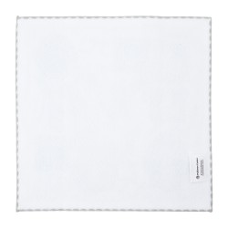 COMMANDE - POKEMON CENTER JAPON - Eevee collection 2025 - Towel Evoli