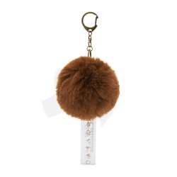 COMMANDE - POKEMON CENTER JAPON - Eevee collection 2025 - Porte clé Evoli
