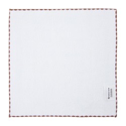 COMMANDE - POKEMON CENTER JAPON - Eevee collection 2025 - Towel Mentali
