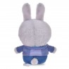 COMMANDE - DISNEY STORE JAPON - " URUPOCHA " Judy