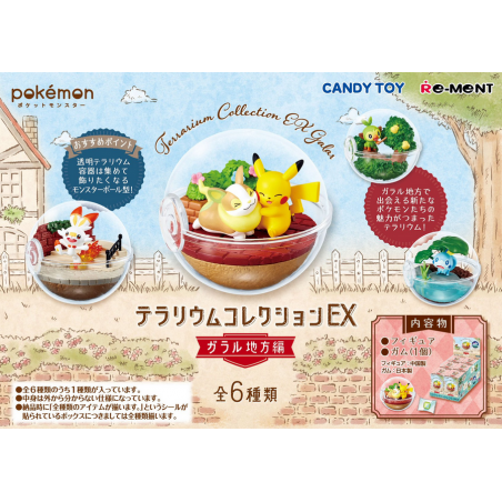 COMMANDE - RE-MENT POKEMON - POKEMON TERRARIUM COLLECTION EX