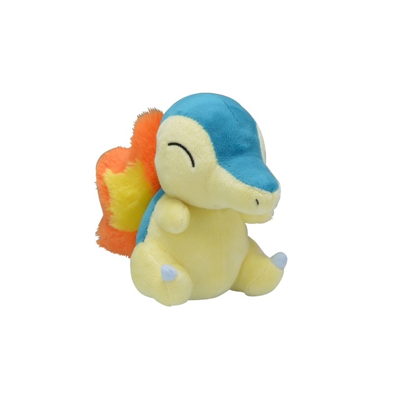 COMMANDE - POKEMON CENTER POKEMON FIT - HERICENDRE