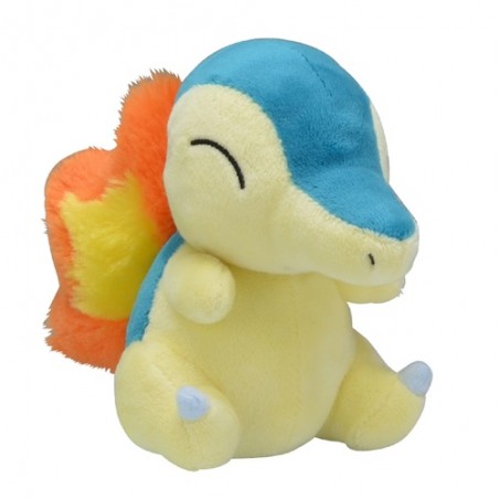 COMMANDE - POKEMON CENTER POKEMON FIT - HERICENDRE