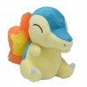COMMANDE - POKEMON CENTER POKEMON FIT - HERICENDRE