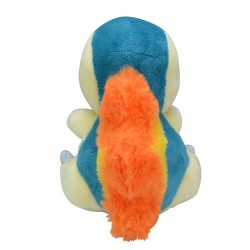 COMMANDE - POKEMON CENTER POKEMON FIT - HERICENDRE