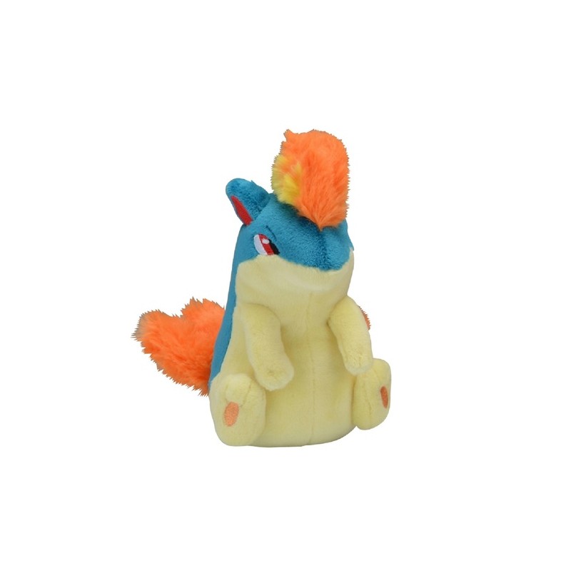 COMMANDE - POKEMON CENTER POKEMON FIT - FEURISSON